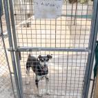 5d3191732400001120935f75