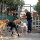 5d31919e3b00003900dacdd8