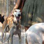 5d3191d62600005000044e22