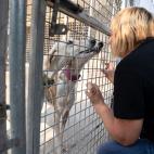 5d31920b3b00004d00dacddb