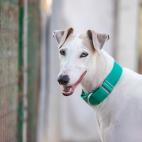 5d3192302400009d17935f77