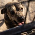 5d3192d33b00004b00dacdde