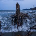 5c8add0b24000093024c968f