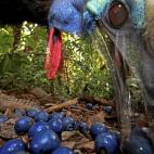 5c8add0d230000d50423d7ac