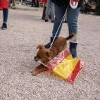 5c8a6e30360000ba1a6b77b4