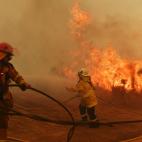 5dcbce0c2500000405d2ceff