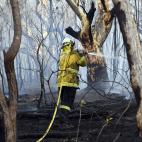 5dcbce331f00008504dee411