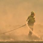 5dcbce232500000605d2cf02