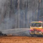 5dcbce21210000516034ccd2