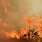 5dcbce0a1f00008204dee40d