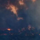 5dcbcd642500000605d2cefa