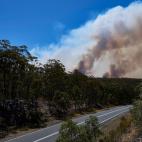 5dcbcd4d2500004c05d2cef8