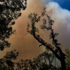 5dcbcd58210000516034ccc8