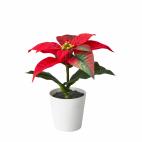 10.462 unidades vendidas