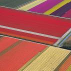 Vista aérea del norte de Holanda, en una imagen de 2008 (AP Photo/Peter Dejong)
