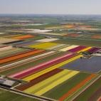 Vista aérea del norte de Holanda, en una imagen de 2008 (AP Photo/Peter Dejong)