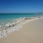 5c8ade11360000ba1a6c3525