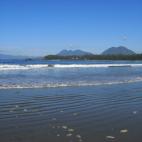 5c8ade16360000c81a6c3533