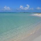 5c8ade162500000704c9c8f1