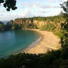 5c8ade1a2000009e046fe34a