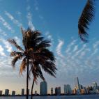 Compañeros sexuales: 24 Pensamientos diarios sobre sexo: 10 Sentido de aventura sexual: 68 por ciento Que hayan fingido un orgasmo: 41 por ciento Tasa de satisfacción sexual: 73 por ciento Promedio de relaciones sexuales al año: 177 Persona...