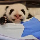 Utilizar la cama s&oacute;lo para dormir. Aparece en casi cualquier lista de consejos para conciliar el sue&ntilde;o. Nada de ver la tele, ni llevarse el ordenador para acabar un trabajo.