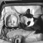 "Evita usar relojes de alarma ruidosos. Es muy estresante para tu cuerpo levantarse de esa forma. Si has dormido lo suficiente y de forma regular, podrías incluso no necesitar una alarma para despertarte". Vía Nutrición y Salud