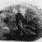 Escribir un diario. Hay quien recomienda escribir como método para relajarse en busca del sueño.