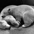 Hacer "nada" antes de dormir. "Es recomendable dejar un lapso de no actividad unos 20 minutos antes de acostarse". Vía Docctor Eduard Estivill