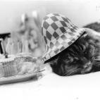 "No fumes ni bebas alcohol (sobre todo por la noche) pues son estimulantes. Y, si lo haces, procura que no sea minutos antes de irte a la cama. Otro error es desvelarte y pensar que un cigarro te ayudará a volver a conciliar el sueño. Al contr...