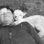 La dieta antes de dormir ha de ser ligera. Los alimentos con serotonina ayudan a relajarse (lácteos, plátano, carne, lechuga, atún...).