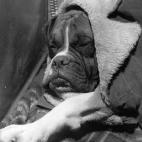 "Establecer unos horarios regulares de sueño-vigilia. Lo más importante es levantarse a la misma hora cada día (incluidos fines de semana y vacaciones). Una vez despierto por la mañana no permanecer en la cama". Vía Centro de Medicina del...