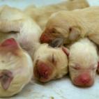 "Evita hacer más de una siesta al día y que ésta no sea prolongada, que no dure más de 30 minutos". Vía Clínica Universidad de Navarra