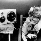 Luchar contra el insomnio tecnológico. Pon remedio a la mala costumbre de no apagar el móvil para descansar mejor o llevarte el ordenador o la tableta a la cama.