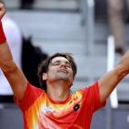 David Ferrer