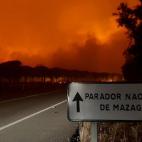 5c8a8d7d2400004205a33802