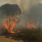 5c8a8d7d2300005300e6b4f3