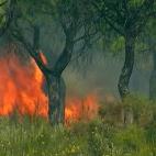 5c8a8d7e2400006b054bfe05