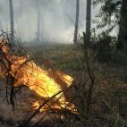 5c8a8d832500001304c92e64