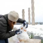 Bellaterra (Barcelona)