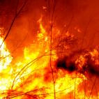 5e0df15025000045bad319ae