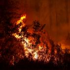 5e0df1502500003b1998f95c