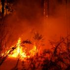 5e0df14c250000201998f95b