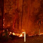 5e0df1482500003cbad319ad