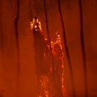 5e0df1462500001c1998f959