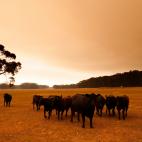 5e0df13925000045bad319ac