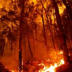 5e0df133250000041998f958