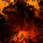 5e0df13125000079bad319ab