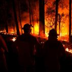 5e0df10425000045bad319a9