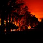 5e0df10225000045bad319a8